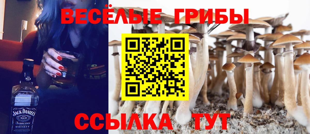 Галлюциногенные грибы Magic Shrooms Ивантеевка